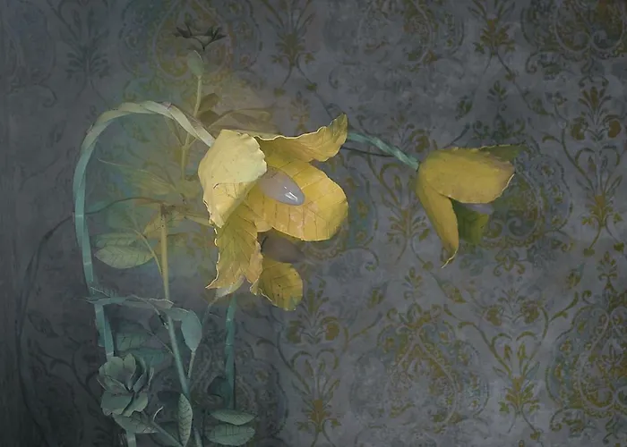 Miglioranzi Pensionat Verona